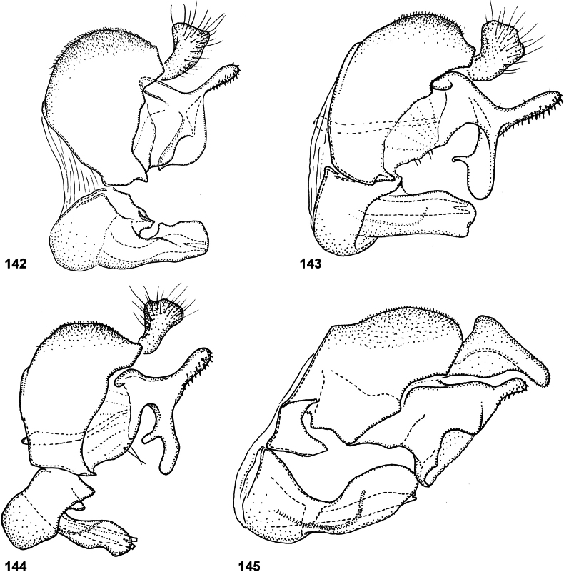 Figures 142–145