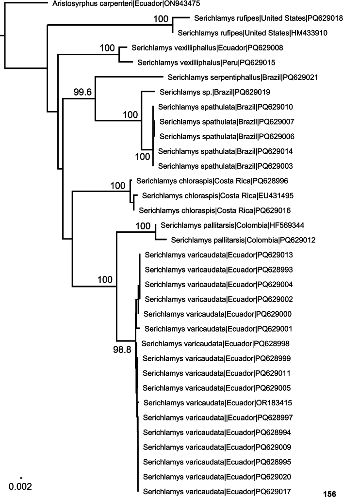 Figure 156