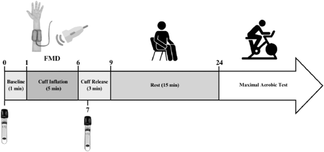 Figure 2