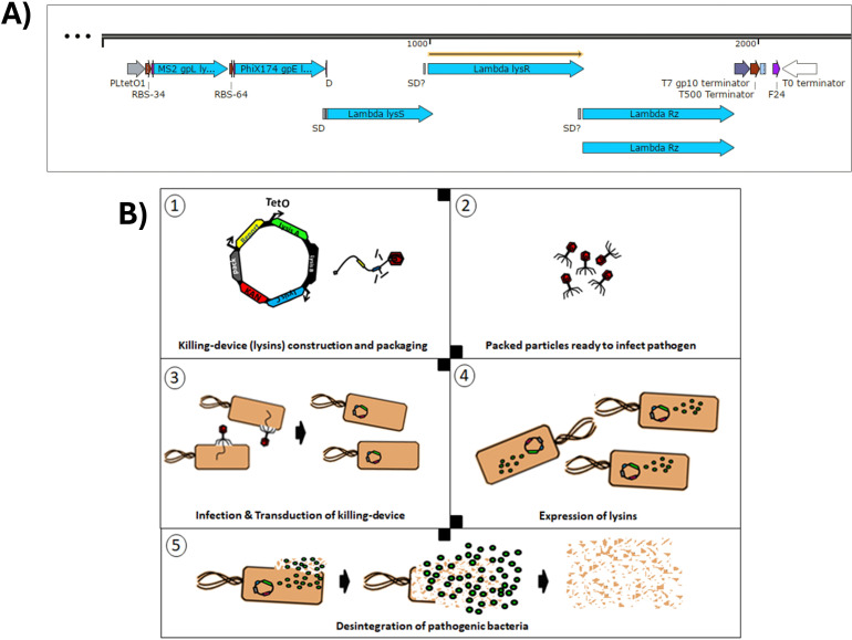 Figure 3