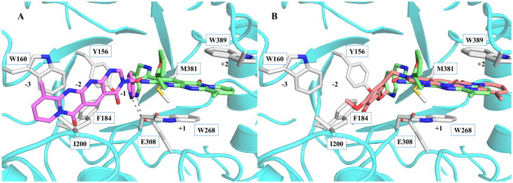 Figure 5