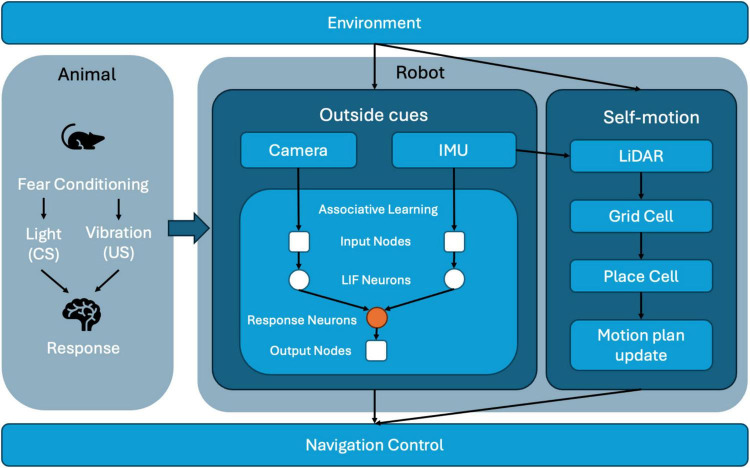 FIGURE 1