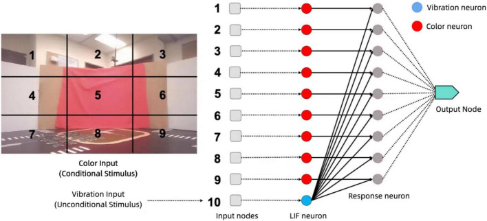 FIGURE 13