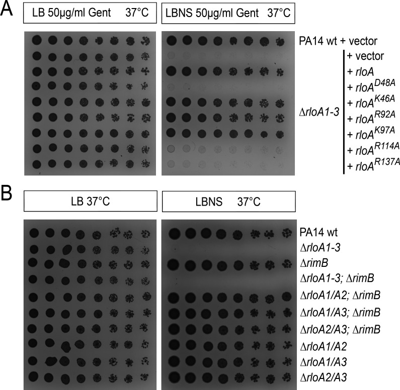 Fig 4