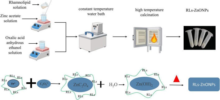 FIGURE 1