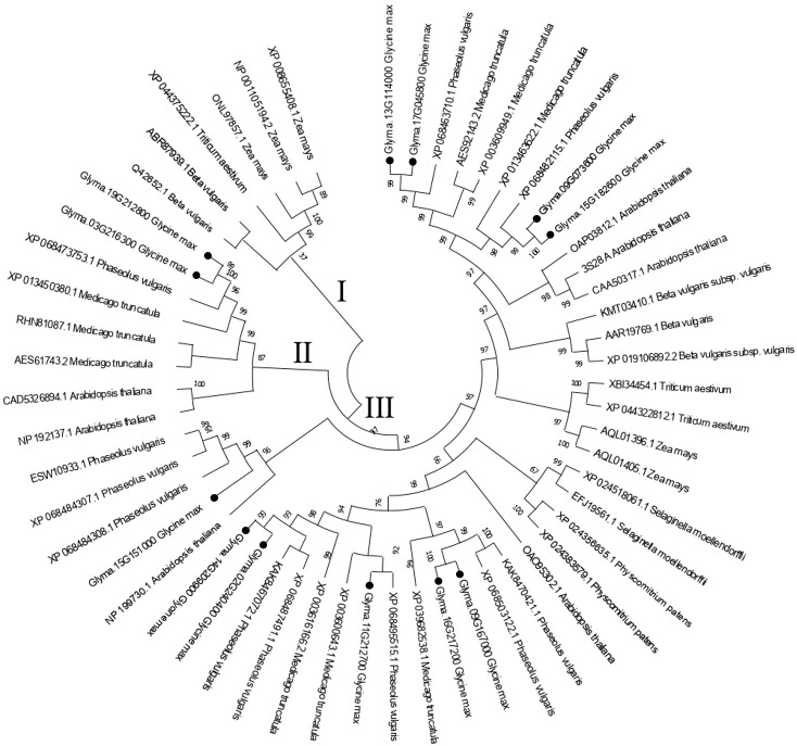Figure 1