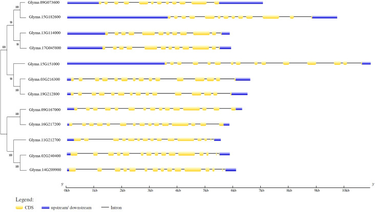 Figure 2