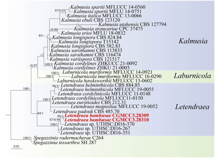 Figure 2