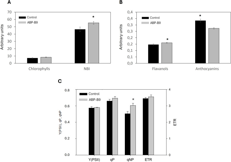 Figure 5