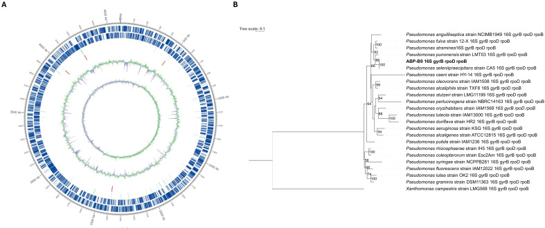 Figure 6