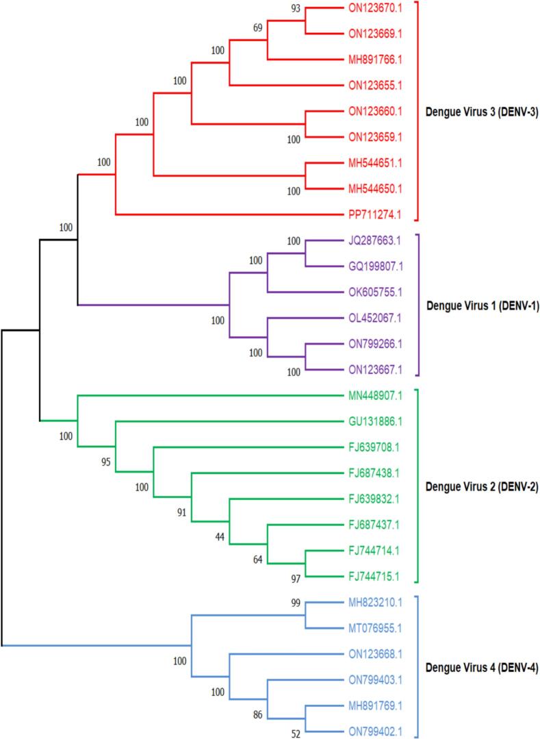 Figure 2