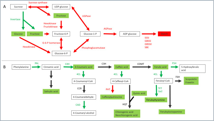 Figure 10