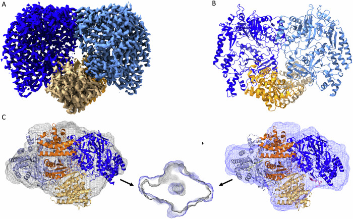 Figure 4