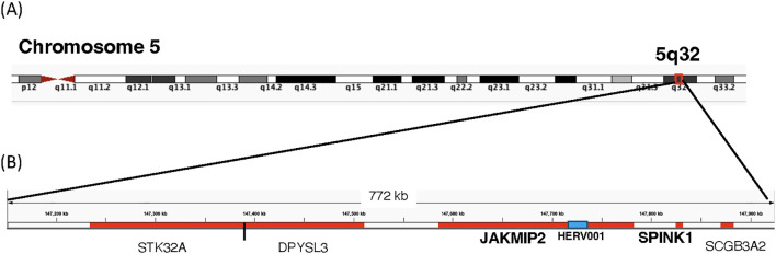Figure 8