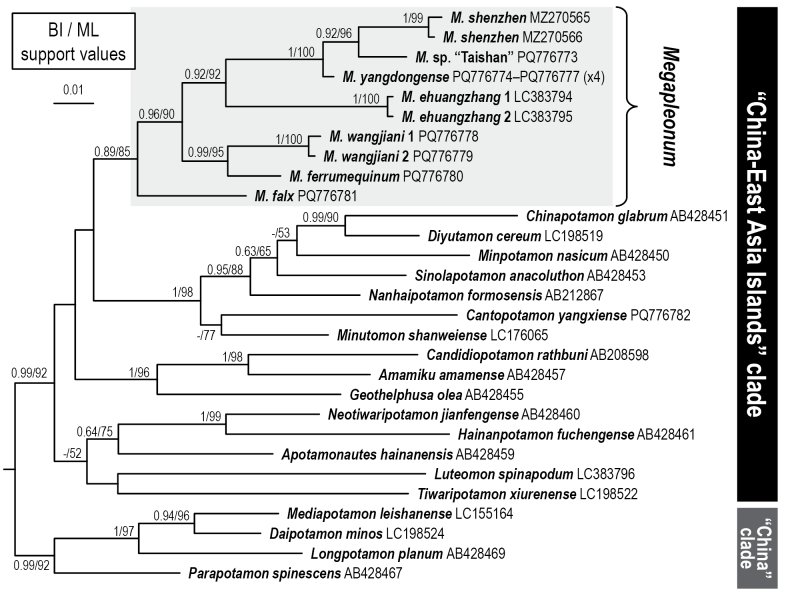 Figure 12
