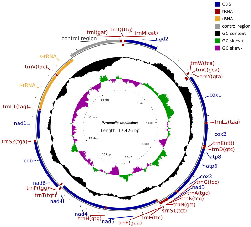 Figure 2