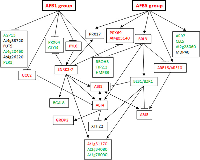 Figure 7