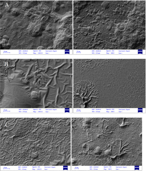 FIGURE 4