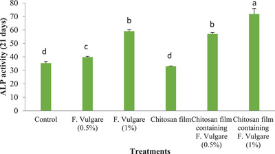 FIGURE 13