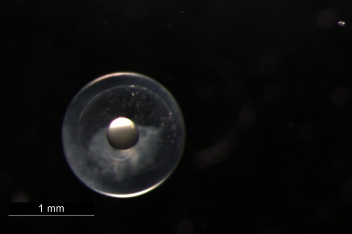 FIGURE 3