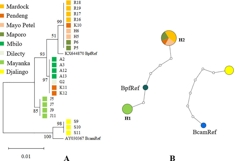 Fig 4