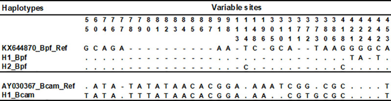 Fig 5