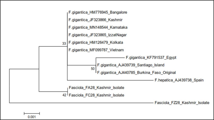 Fig 9