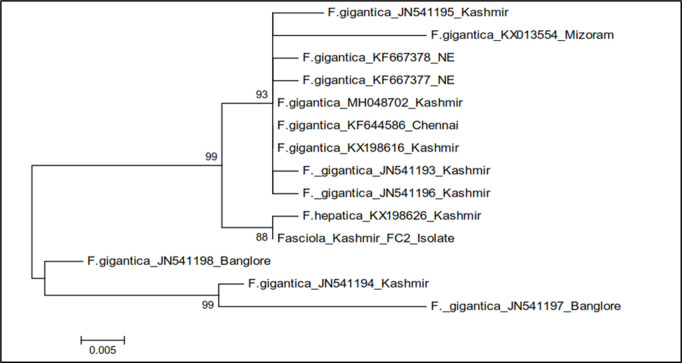 Fig 11