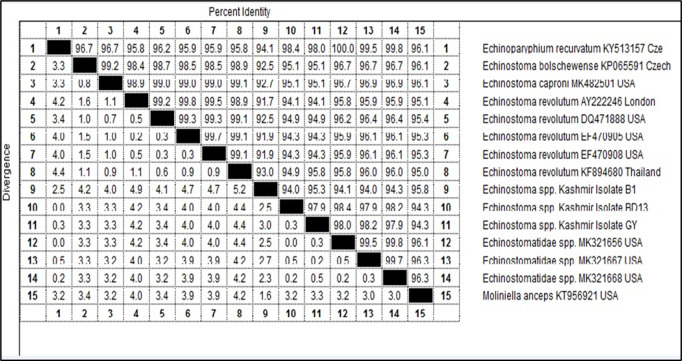 Fig 13