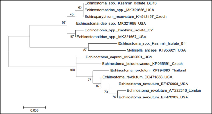 Fig 14