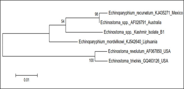 Fig 16