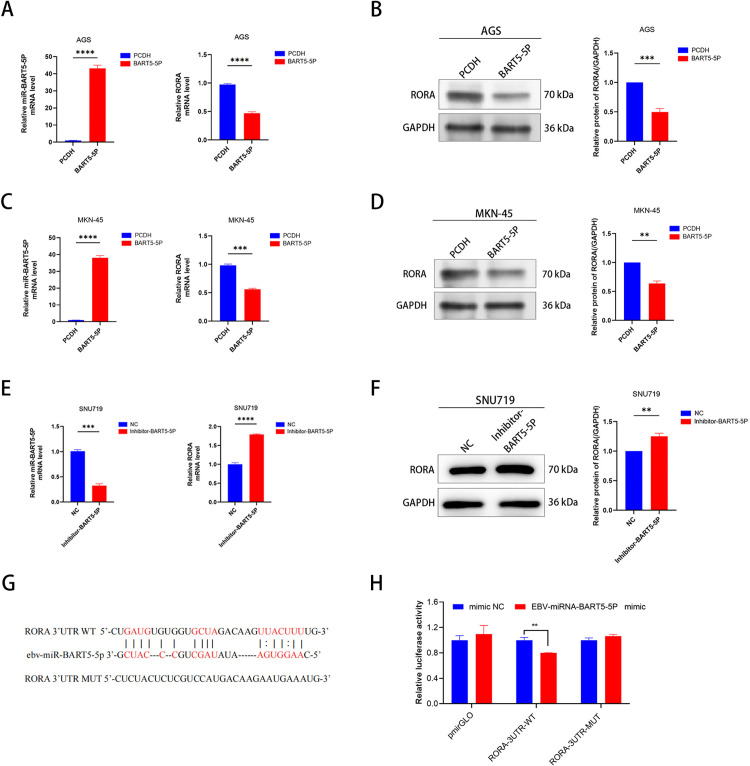 Fig 10