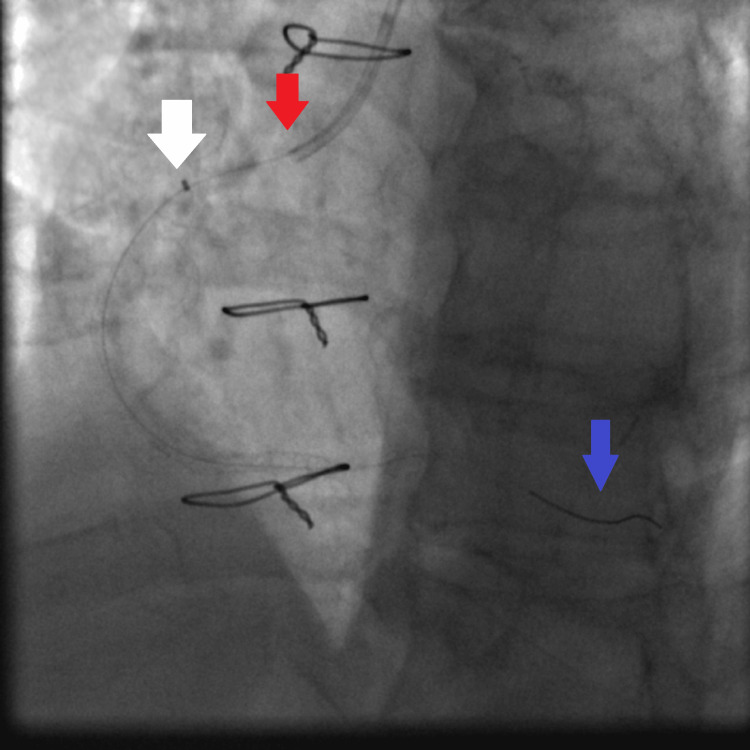 Figure 7