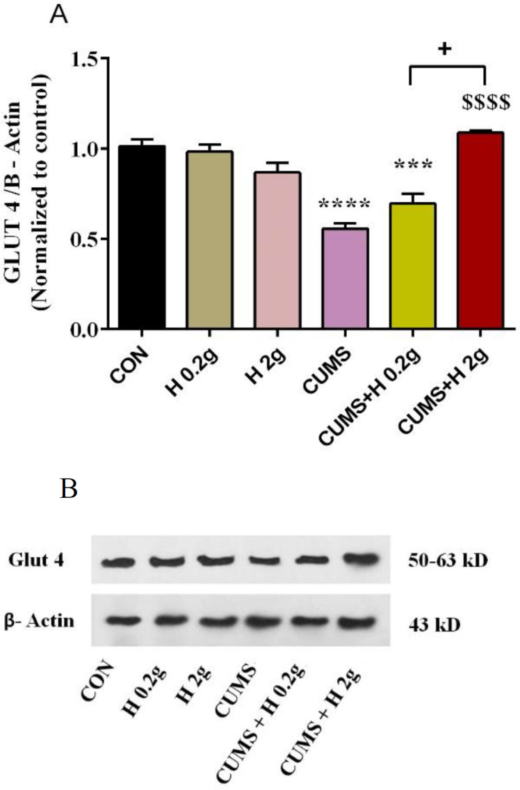 Figure 5A