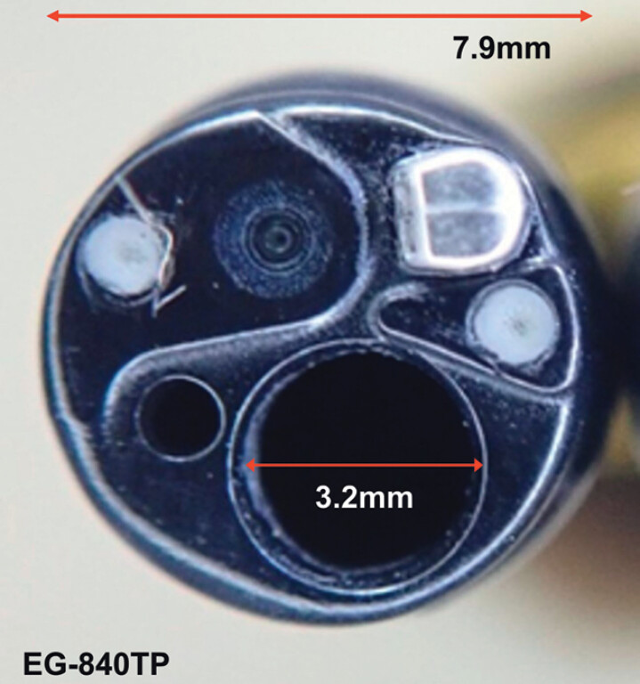 Fig. 2