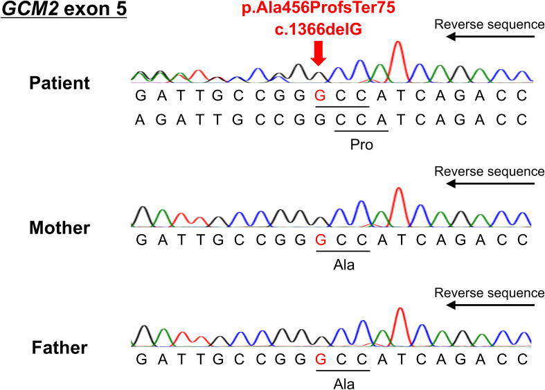 Figure 3
