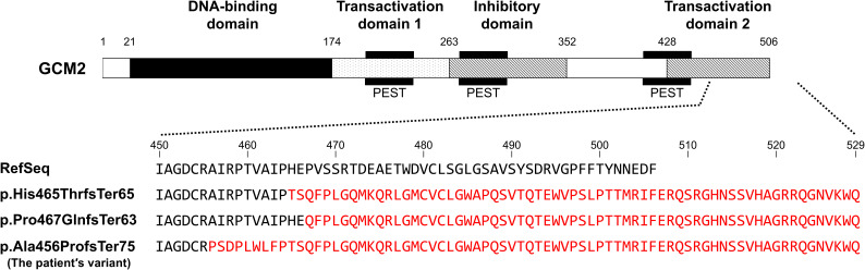 Figure 4