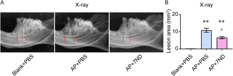 Figure 3