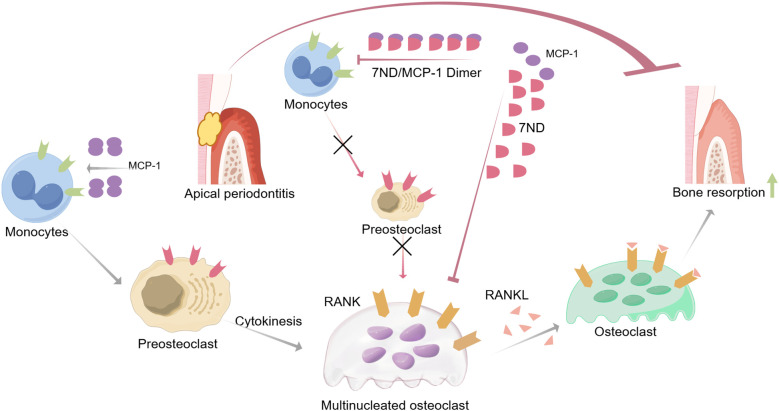 Figure 6