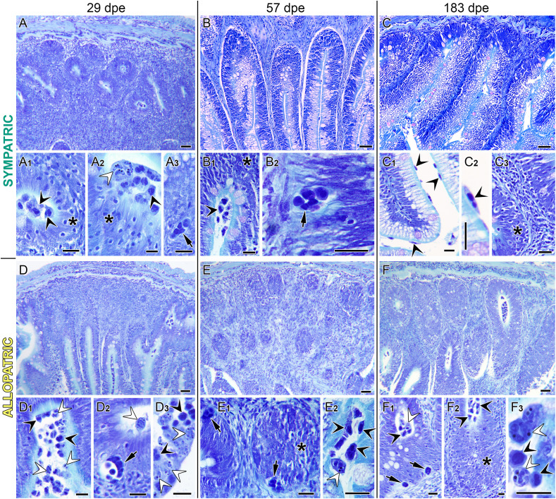 Figure 2