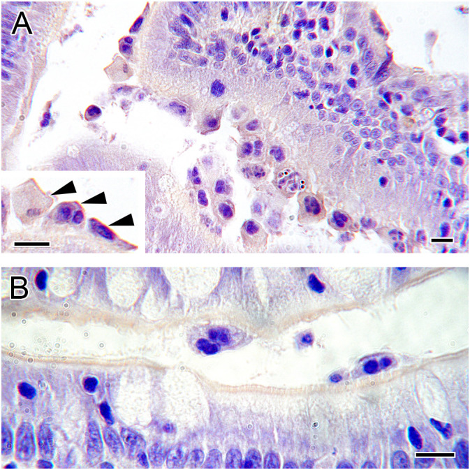 Figure 6
