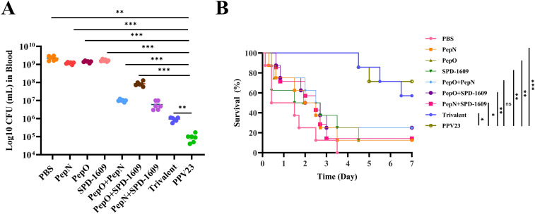 Figure 7