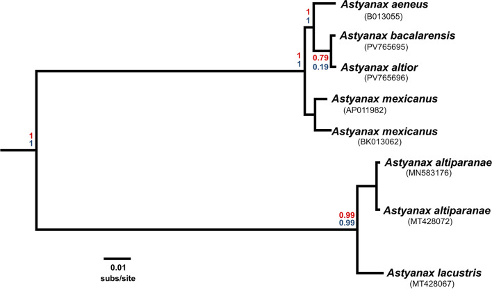 Figure 5
