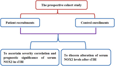 FIGURE 1