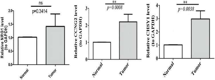 Figure 9
