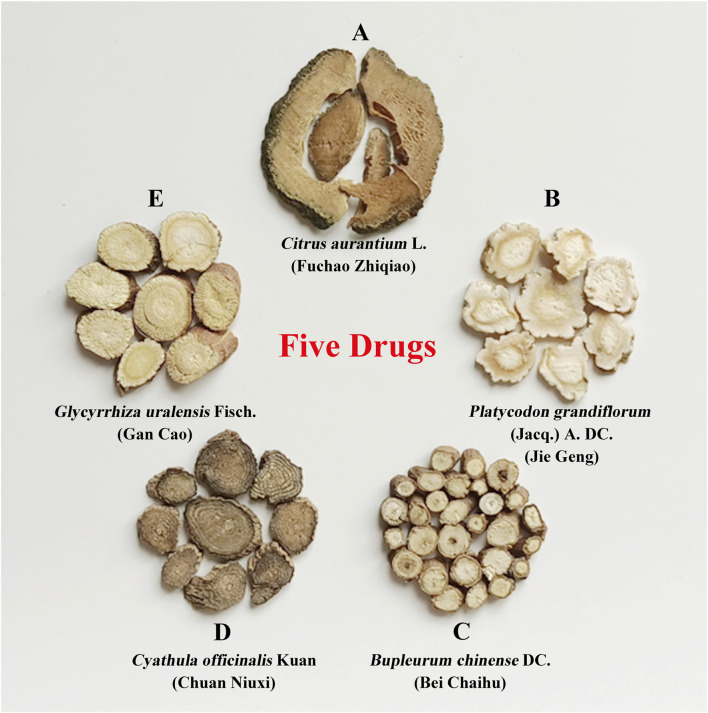 FIGURE 1