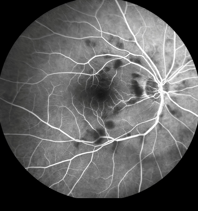 Figure 5