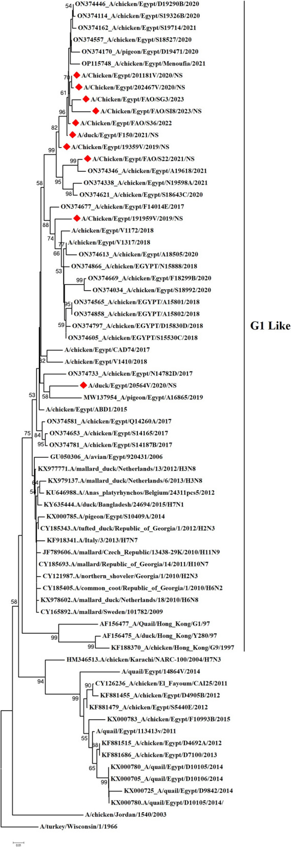 Figure 4