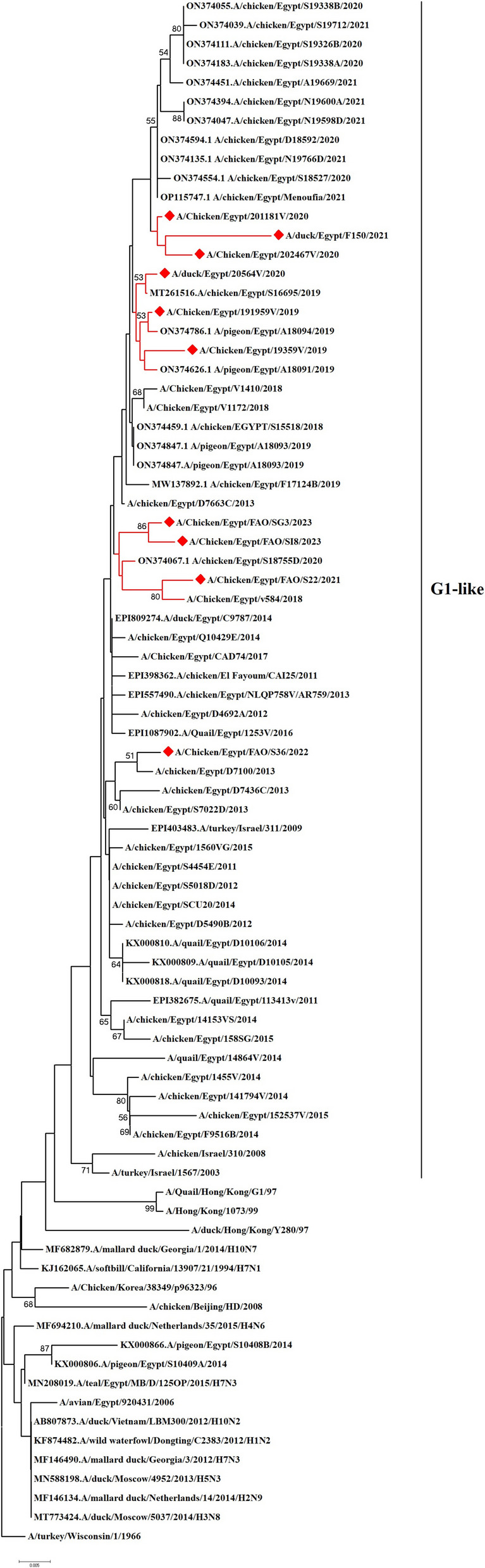 Figure 6