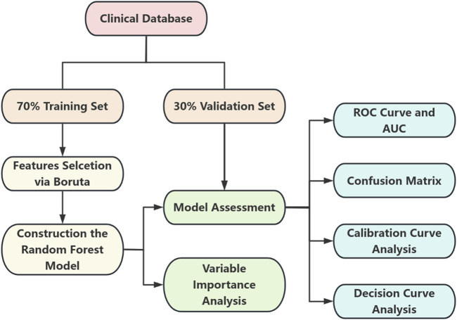 FIGURE 1